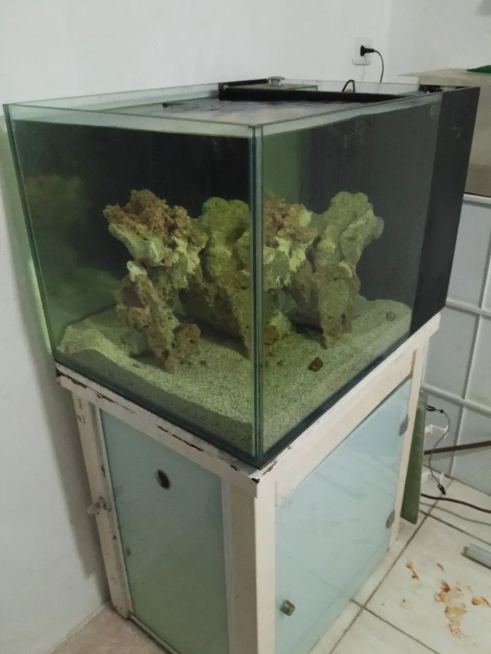 Aquário marinho  - Foto 3