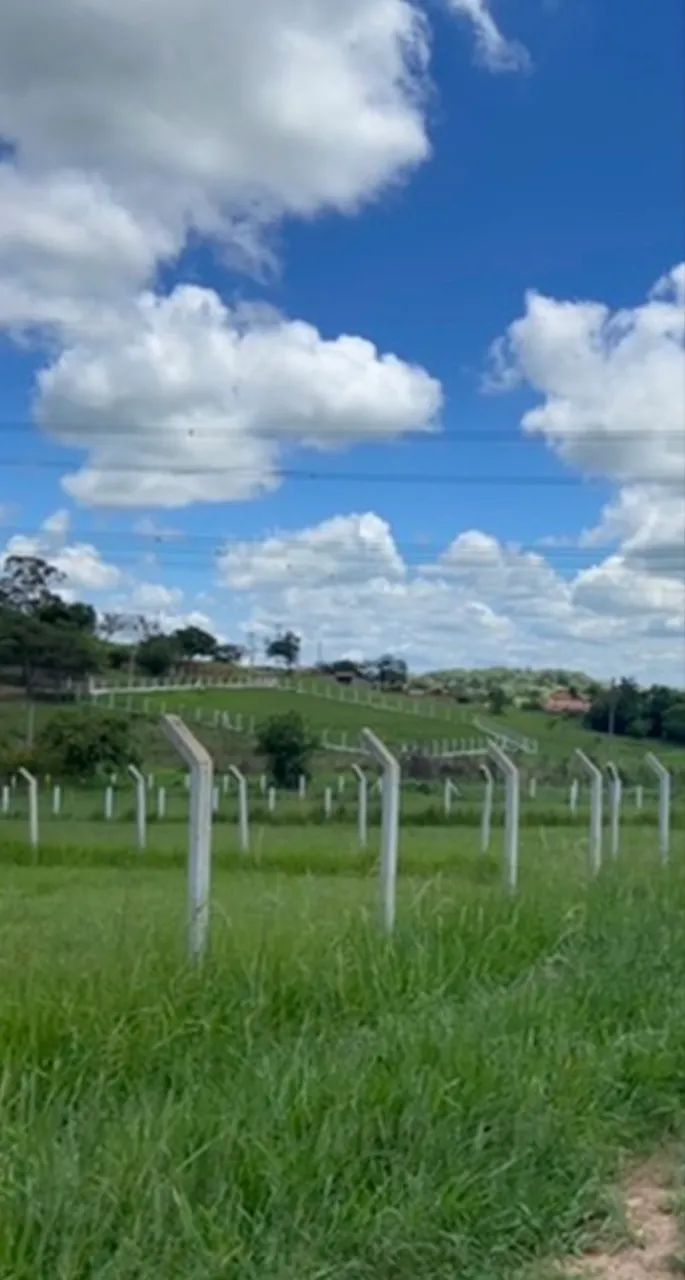 Terreno de 2.250 m2, ótima localização  - Foto 3