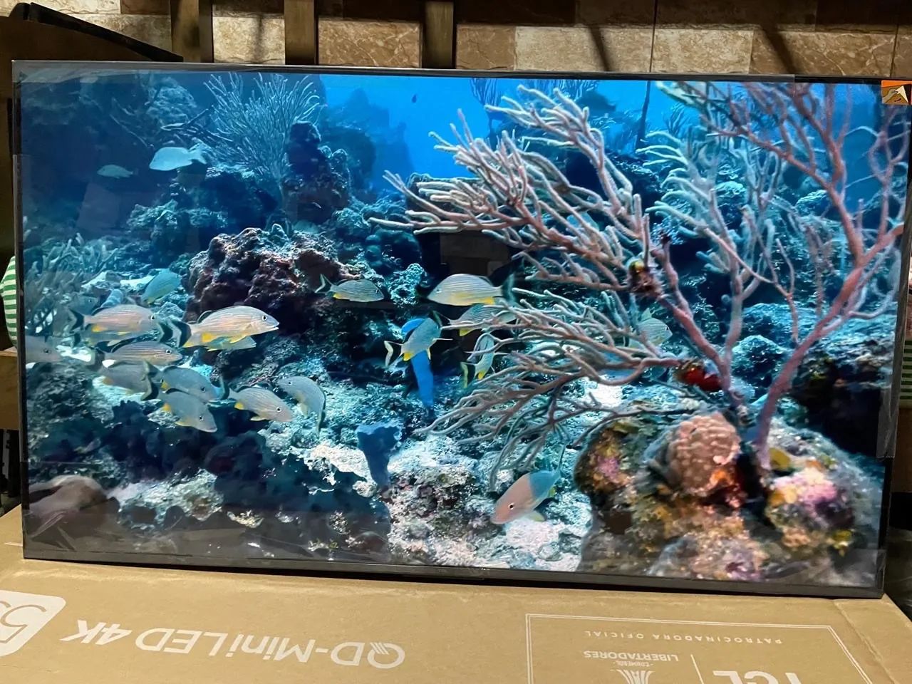 Vendo Tv TCL Qled 55 polegadas 