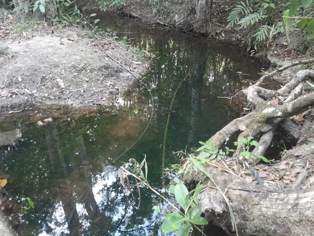 Chácara em Aparecida de Goiânia  - Foto 8