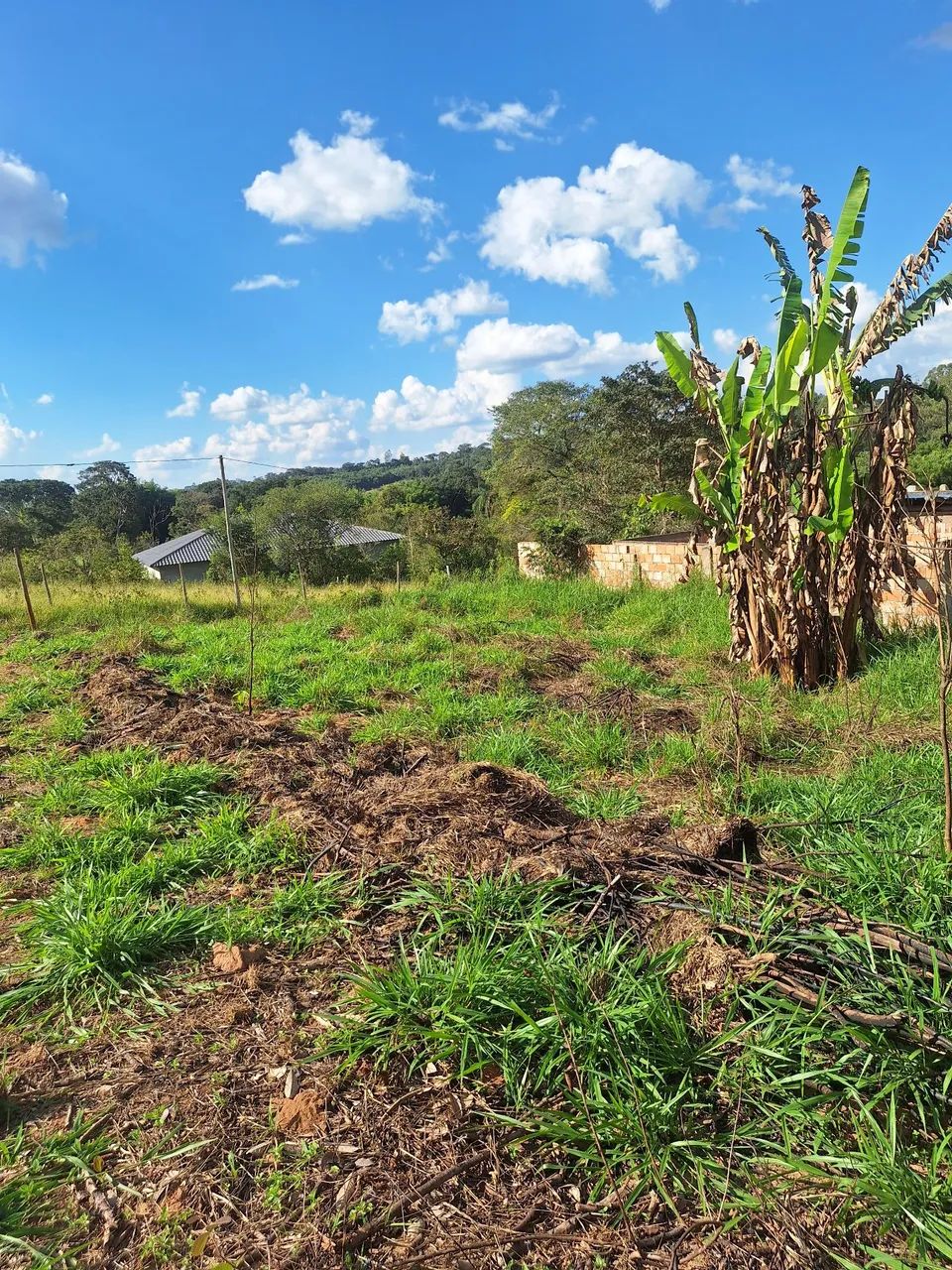 Vendo lote em Bonfim  - Foto 4
