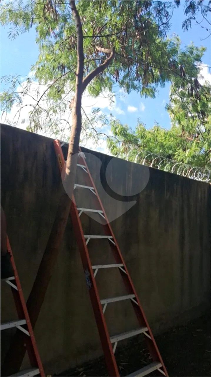 Terreno à venda em Centro - SP - Foto 3