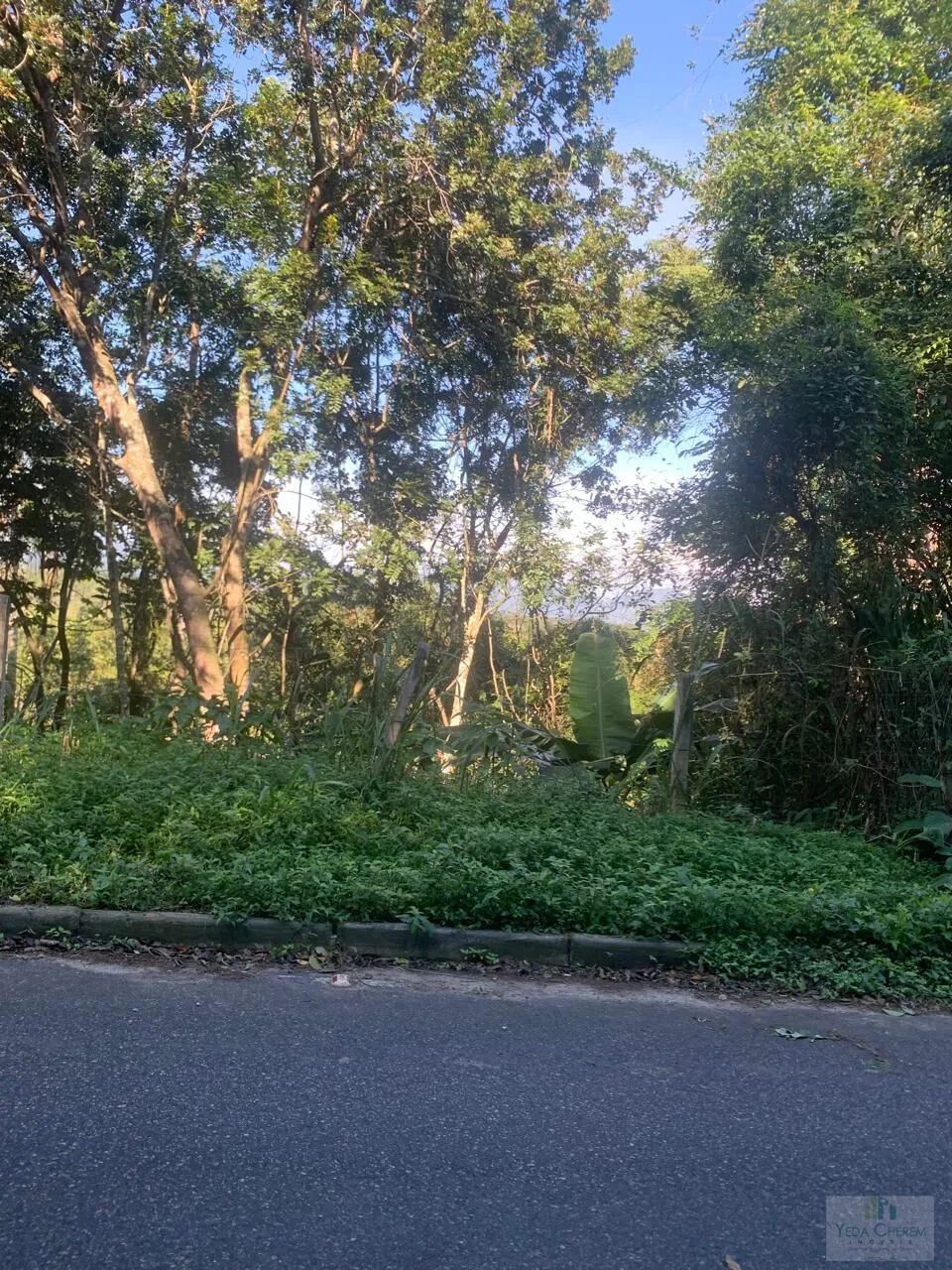 Terreno avenda bairro Jurere Florianópolis SC. - Foto 3