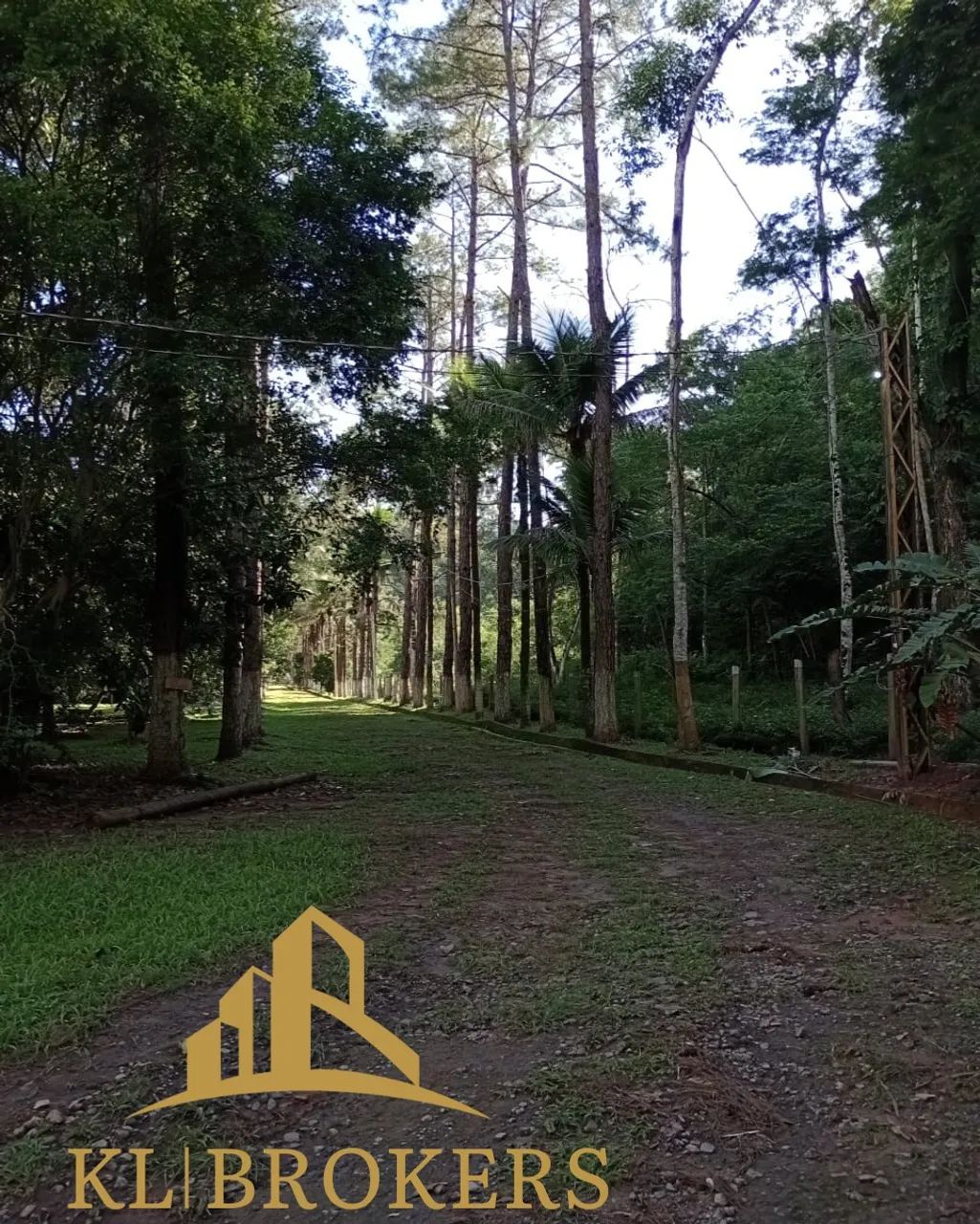 SITIO RURAL em VARGEM ALEGRE - RJ, Vargem Alegre - Foto 4