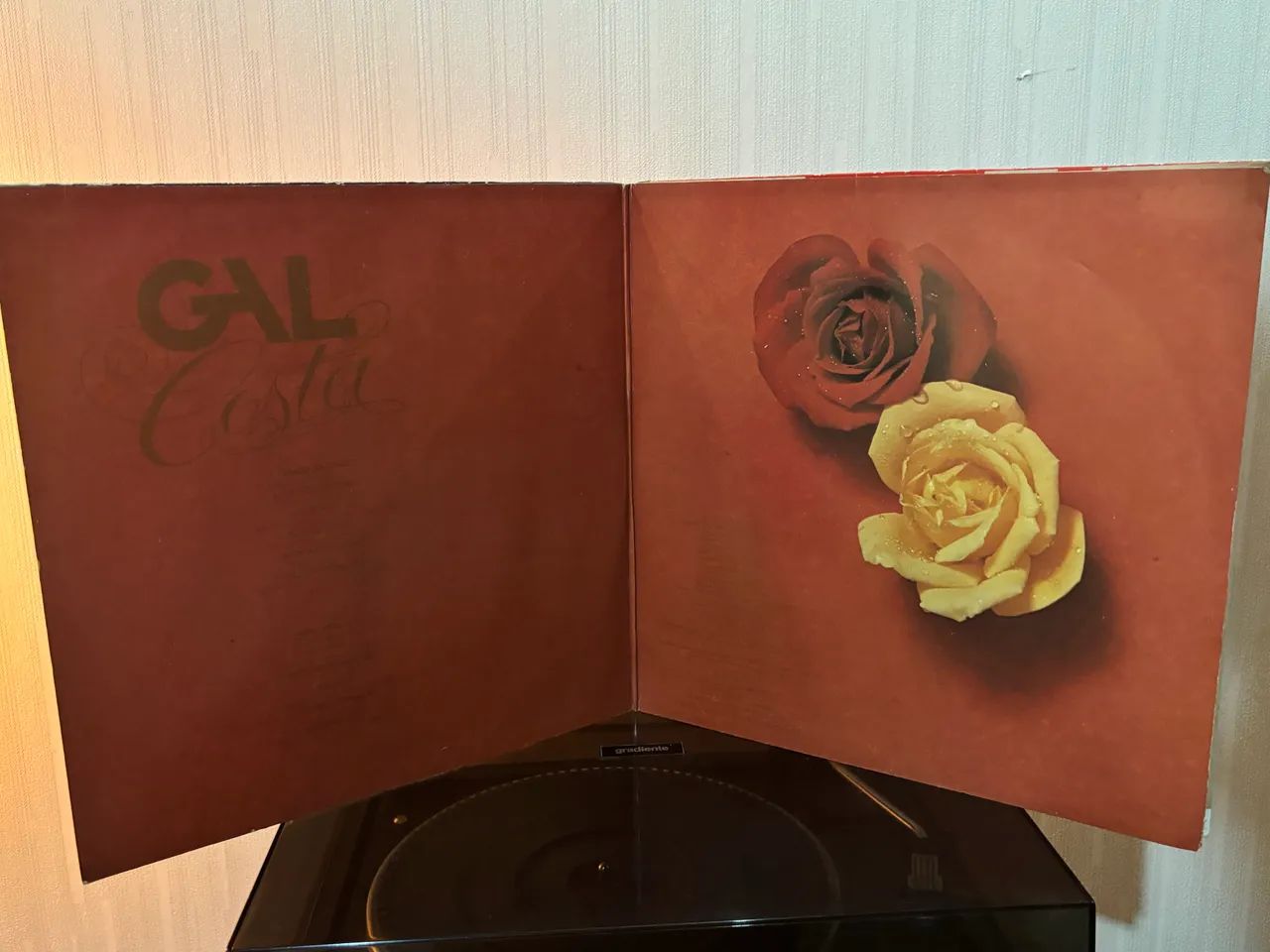 Vinil Gal Costa - Gal Tropical - Foto 3