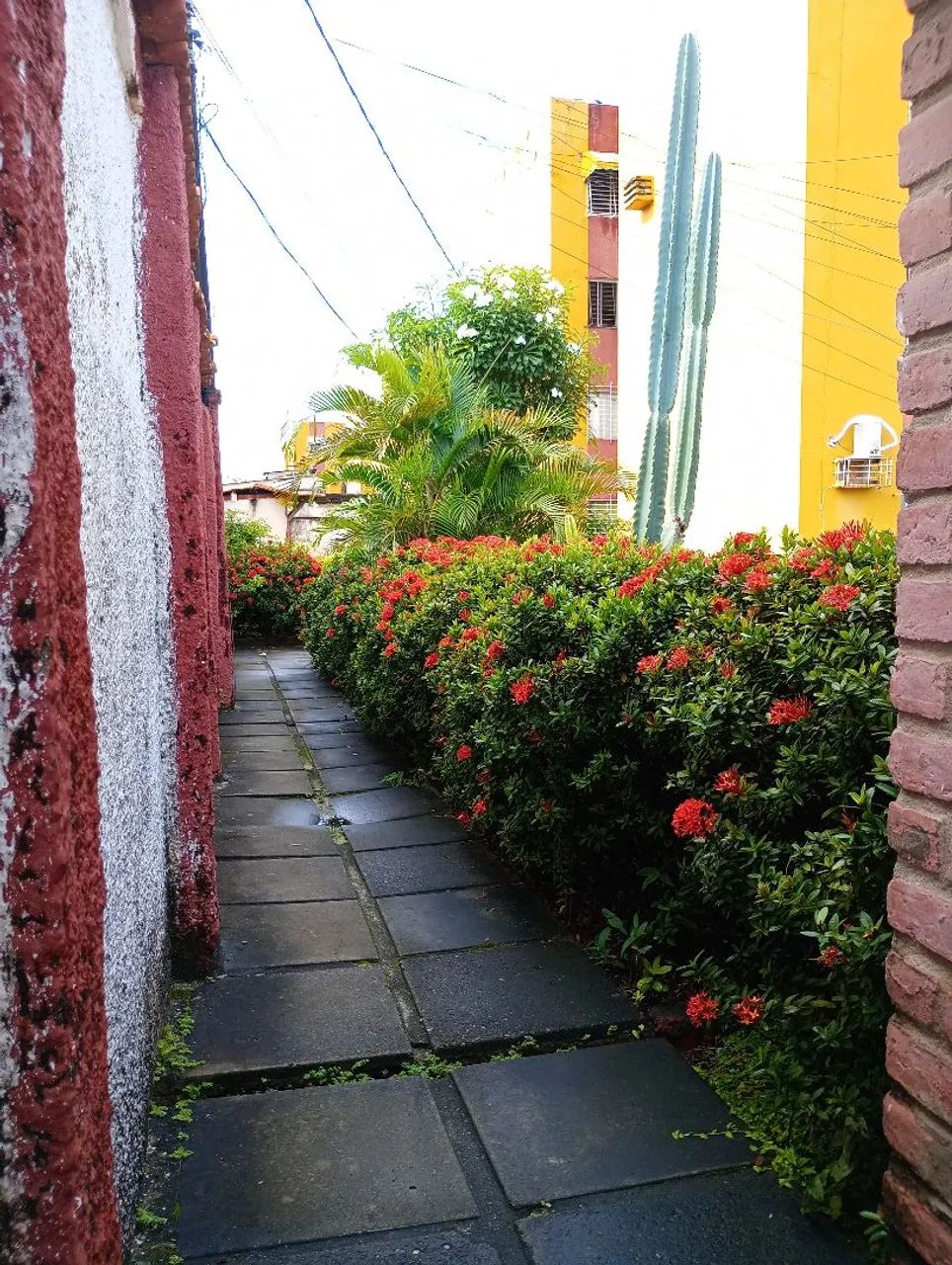 Apt em barra de jangada - Foto 2
