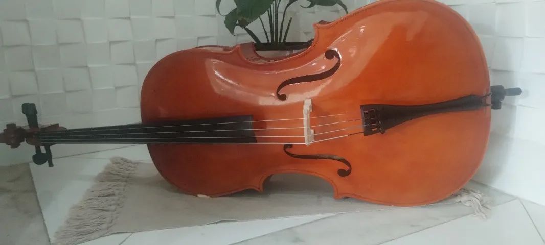 VIOLONCELO 3/4 completo 
