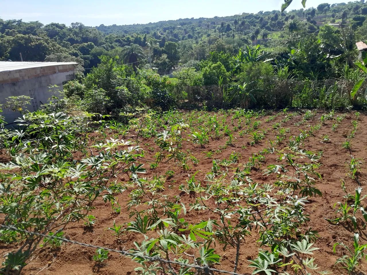 Lotes perto da lagoa  - Foto 4
