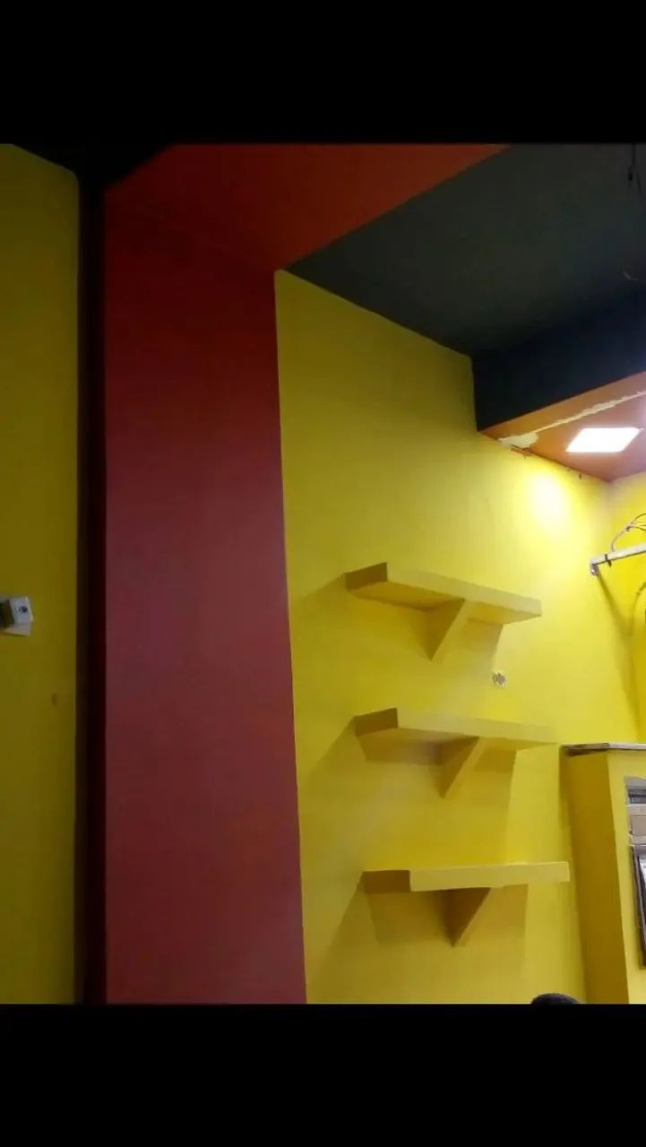 Pintor profissional
