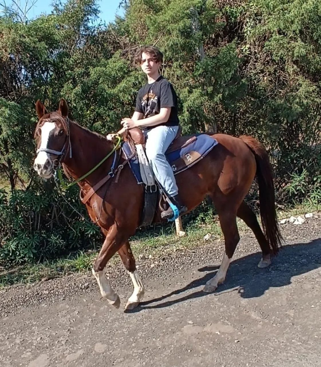 Égua Quarto de Milha - Cavalo cadastrado na ABQM - Hermyone