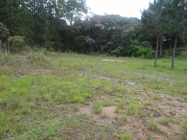 Terreno comercial plano na Ferraria - Campo Largo - Foto 5