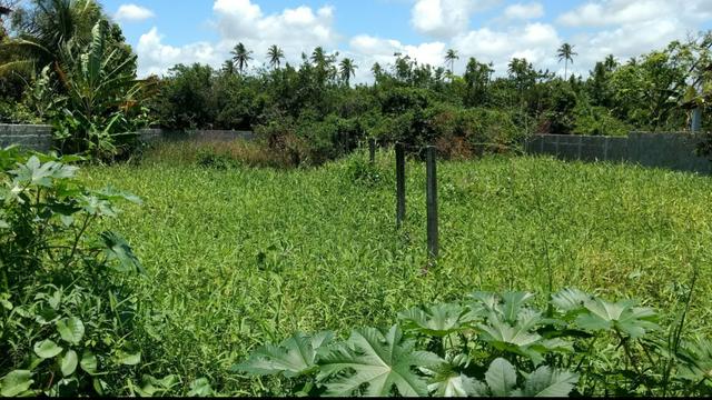Grande terreno em Porto de Galinhas- Legalizado- Próximo ao mar-Super oportunidade!! - Foto 5