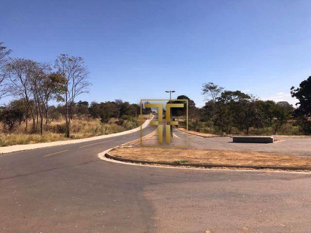 Área à venda, 18.826.77 m², Av. Rio Verde - Foto 5