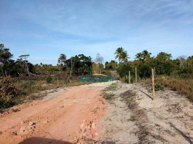 Terreno à venda, 1000 m² por r$ 90.000 - mogiquiçaba - belmonte/bahia - Foto 14