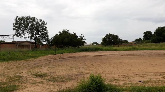 Terreno Cinturão Verde 5.200 Mil Metros - Foto 6