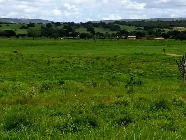 Fazenda em Ribeira do Pombal - Foto 17