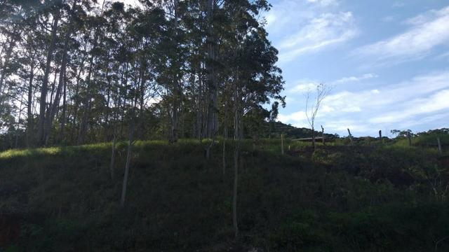 Lindo terreno