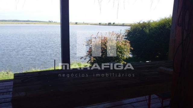 Chácara à venda em Uruguai, Uruguai cod:5557 - Foto 17