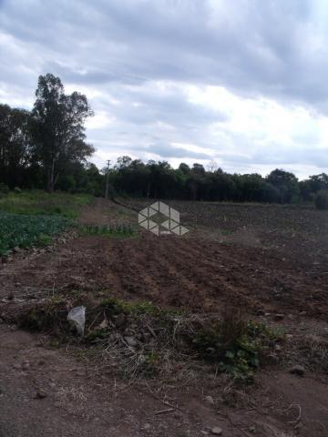 Chácara à venda em Interior, Garibaldi cod:9905726 - Foto 8