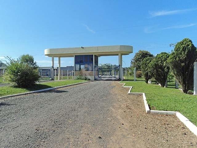 Galpão/depósito/armazém para alugar em Neópolis, Gravataí cod:BT9557 - Foto 4