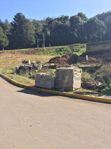 Terreno à venda em Loteamento baggio, Nova pádua cod:491 - Foto 5