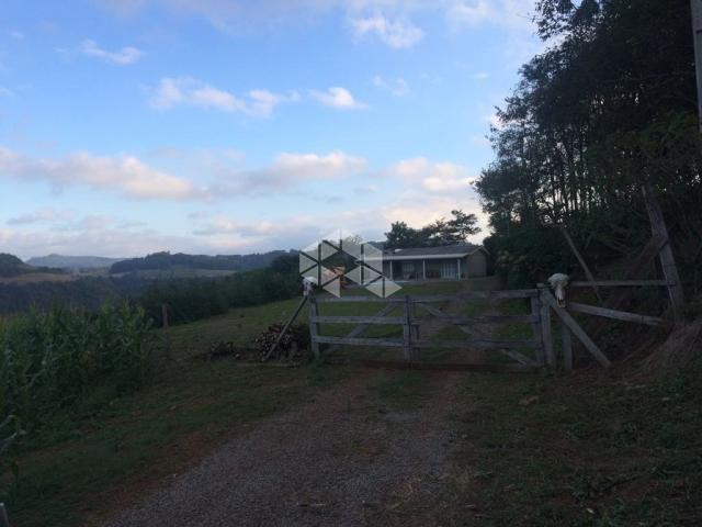Chácara à venda em São luiz de castro, Boa vista do sul cod:9904527 - Foto 12