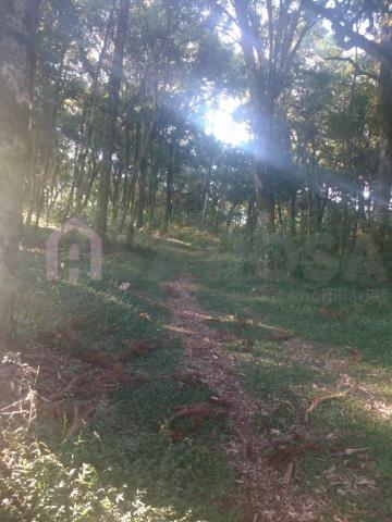 Terreno à venda em Ana rech, Caxias do sul cod:905 - Foto 6