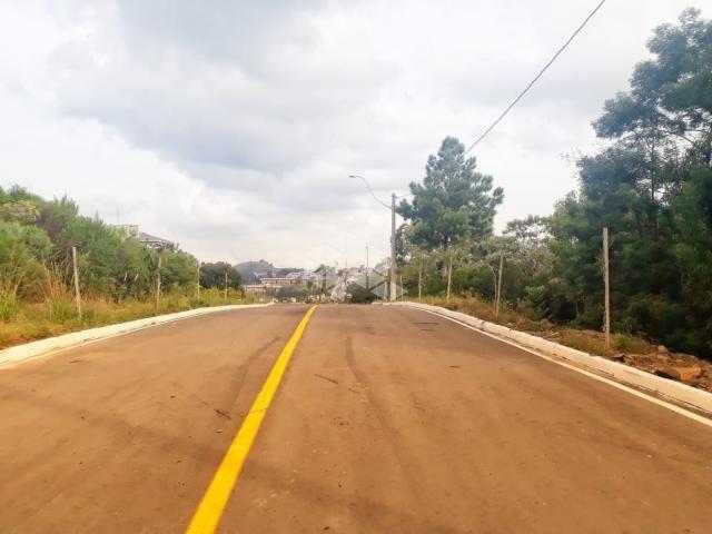 Terreno à venda em Ferroviário, Garibaldi cod:9903306 - Foto 7