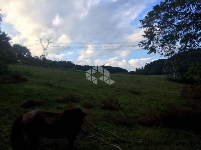 Chácara à venda em São luiz de castro, Boa vista do sul cod:9904527 - Foto 18