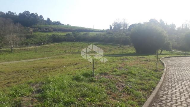 Terreno à venda em Borguetto, Garibaldi cod:9909319 - Foto 9