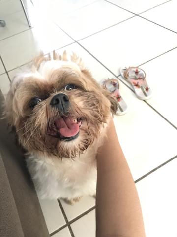 Procuro uma namoradinha!!