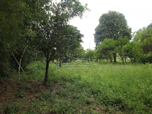 Terreno à venda em Ingleses, Florianópolis cod:394 - Foto 11