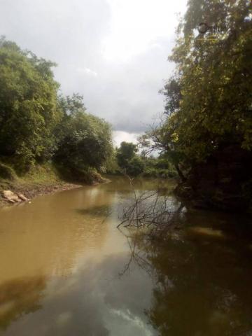 754 há em Barras Piauí - Foto 6