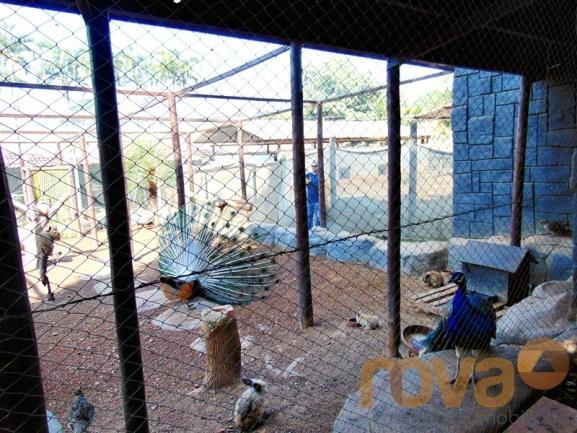 Chácara à venda em Área rural de trindade, Trindade cod:NOV235711 - Foto 12
