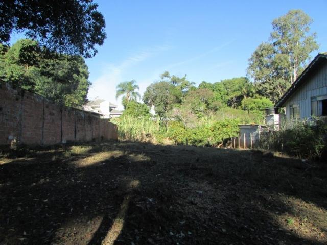 Terreno à venda em São lourenço, Curitiba cod:555 - Foto 3