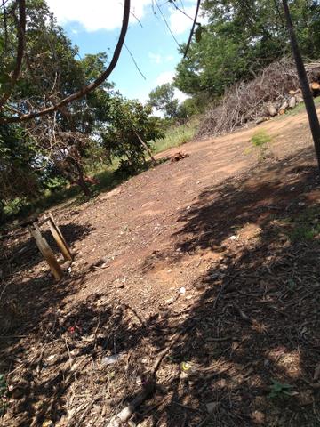 Chácara - Foto 2