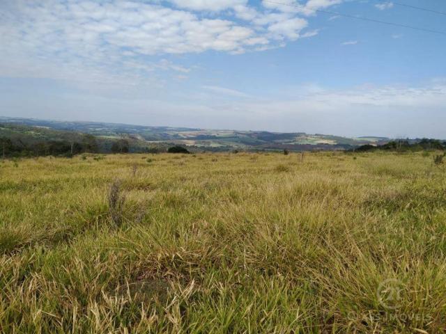 Fazenda Pecuária Santa Cecilia do Pavão PR - Foto 11