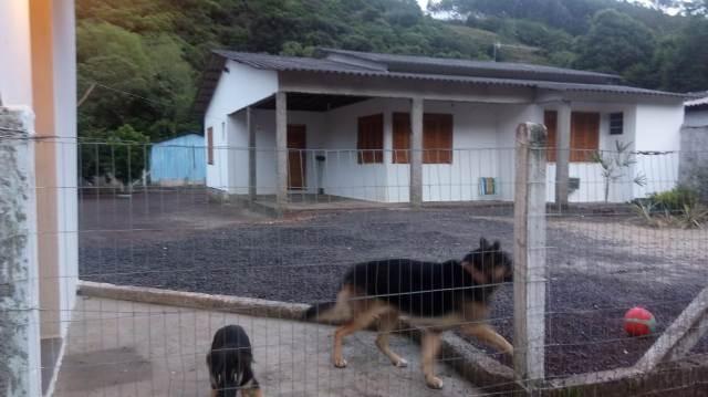 Bela sítio ótima casa próximo arroio pedra branca - Foto 14