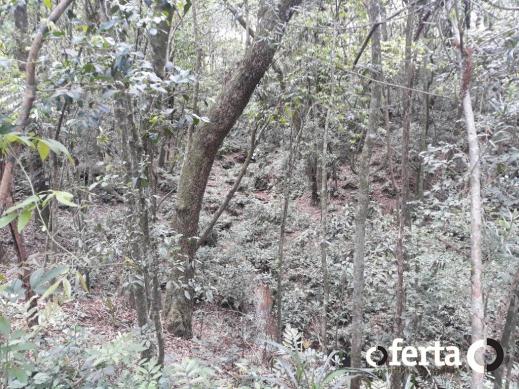 Chácara à venda em Araucária cod:566 - Foto 11