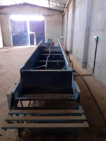 Máquina de lavas MAIS Arrancadeira de BATATAS - Foto 4