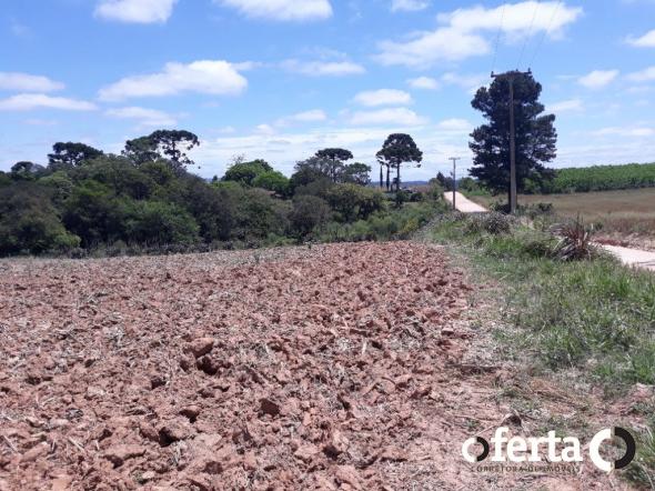 Chácara à venda em Araucária cod:566 - Foto 2