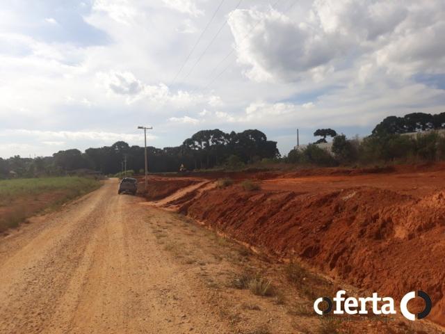 Terreno à venda em Centro, Contenda cod:526 - Foto 4