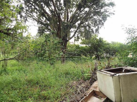 Terreno à venda em Ingleses, Florianópolis cod:394 - Foto 13