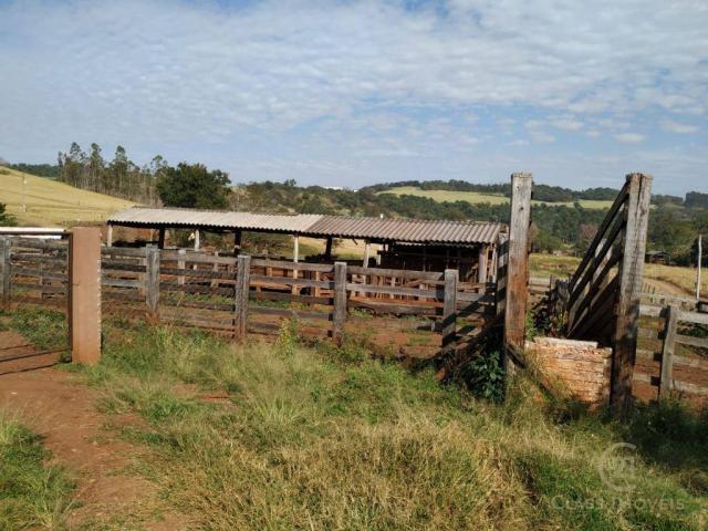 Fazenda Pecuária Santa Cecilia do Pavão PR - Foto 6