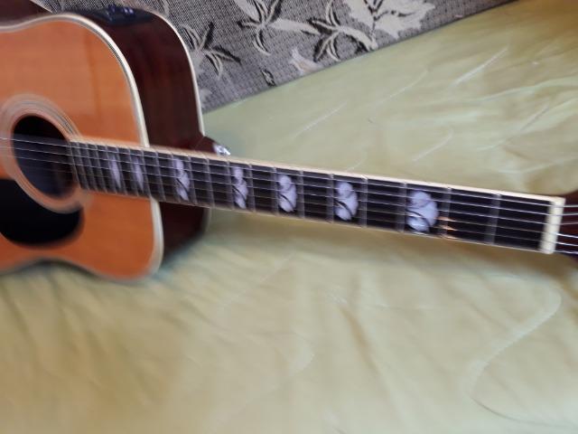 Violão Eagle CH 882 - Reliquia, pouquíssimas produção. R$ 1200,- - Foto 3