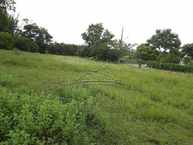 Terreno à venda em Ingleses, Florianópolis cod:394 - Foto 5