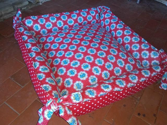 Caminha pra Cachorro