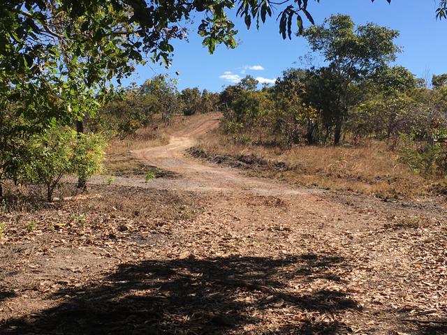 Fazenda Pedro Afonso-TO - Foto 4