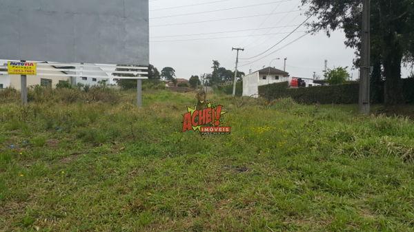 Terreno em rua - Bairro São Pedro em São José dos Pinhais