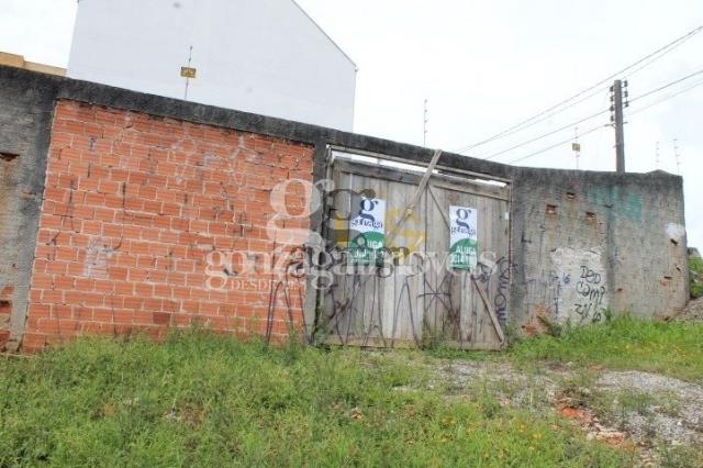 Terreno para alugar em Tingui, Curitiba cod:14394001